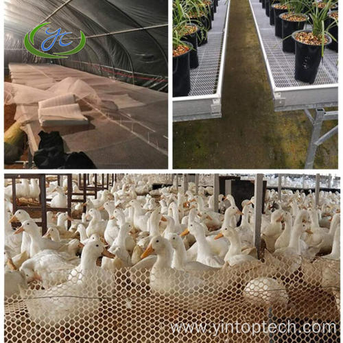 Plastic Net For Poultry
